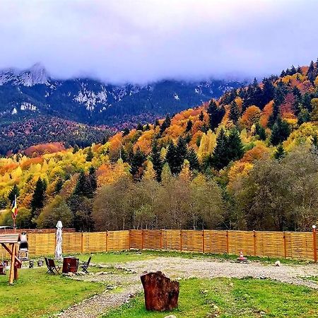 Aroa Mountain 4 Villa Zărneşti Dış mekan fotoğraf