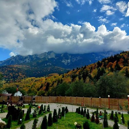 Aroa Mountain 4 Villa Zărneşti Dış mekan fotoğraf