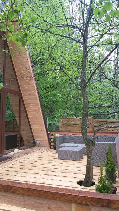 Aroa Mountain 4 Villa Zărneşti Dış mekan fotoğraf