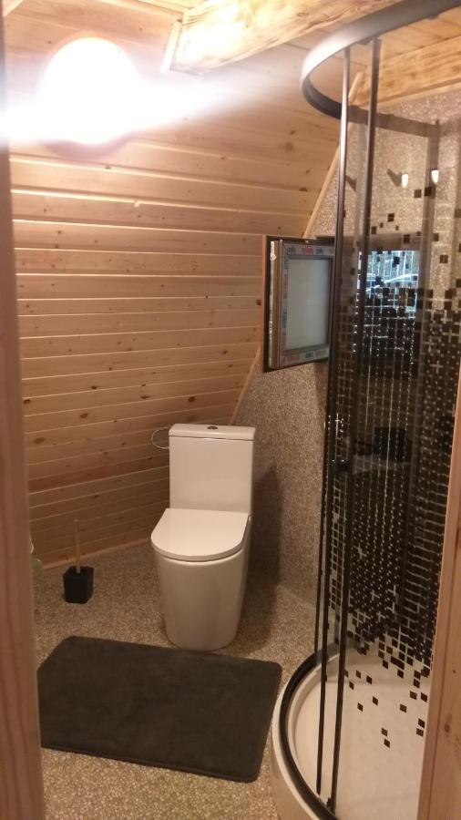 Aroa Mountain 4 Villa Zărneşti Dış mekan fotoğraf