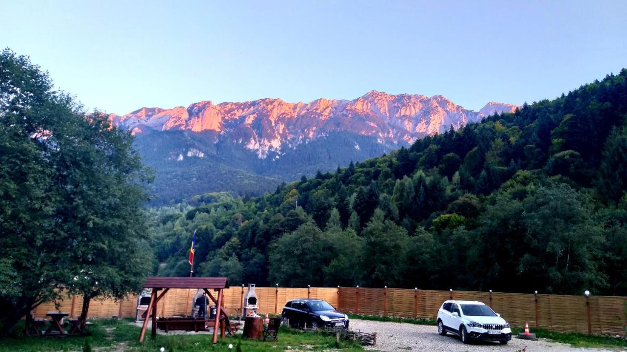 Aroa Mountain 4 Villa Zărneşti Dış mekan fotoğraf