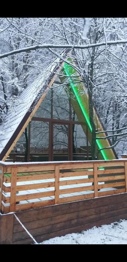 Aroa Mountain 4 Villa Zărneşti Dış mekan fotoğraf