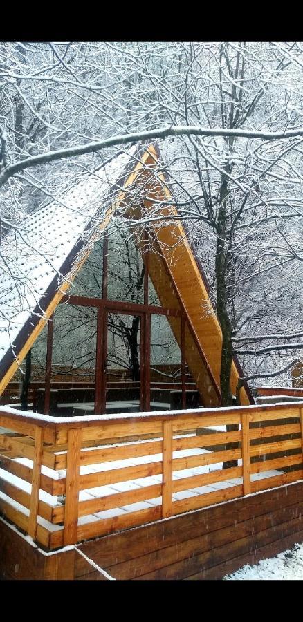 Aroa Mountain 4 Villa Zărneşti Dış mekan fotoğraf