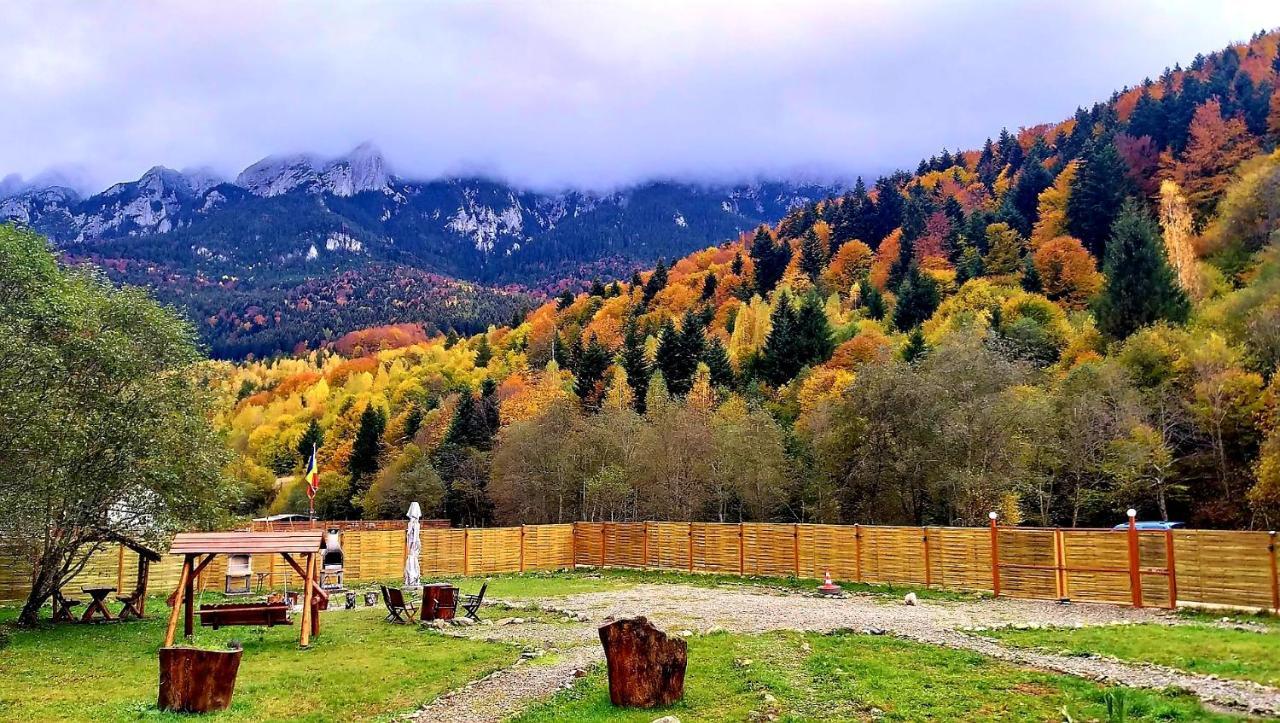 Aroa Mountain 4 Villa Zărneşti Dış mekan fotoğraf