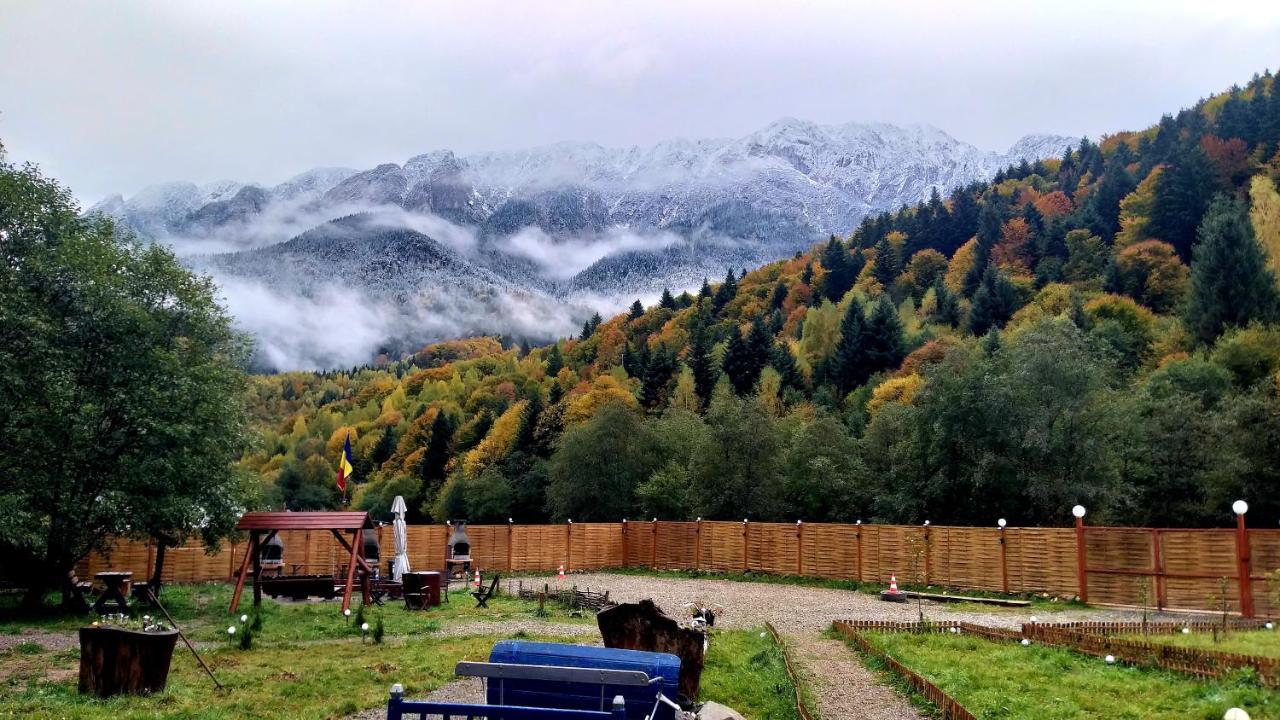 Aroa Mountain 4 Villa Zărneşti Dış mekan fotoğraf