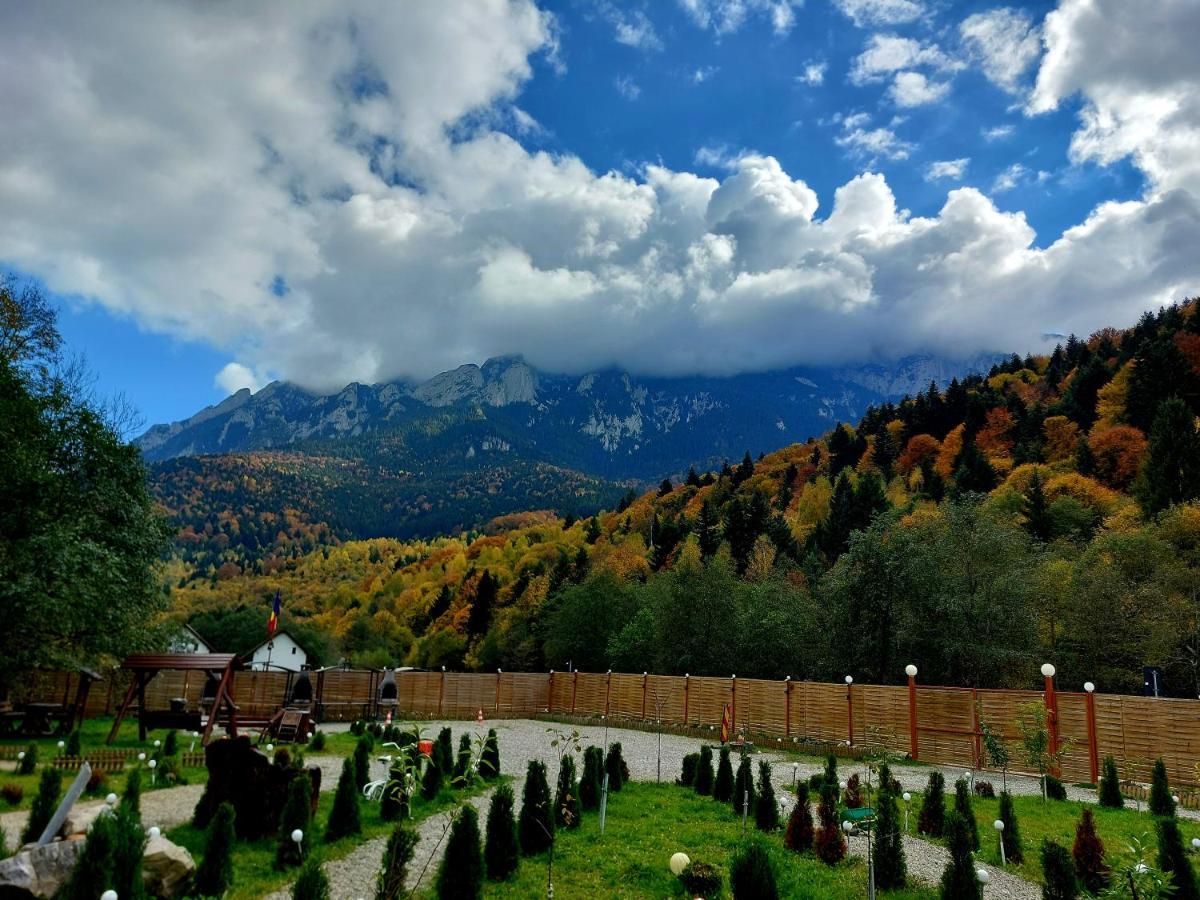 Aroa Mountain 4 Villa Zărneşti Dış mekan fotoğraf
