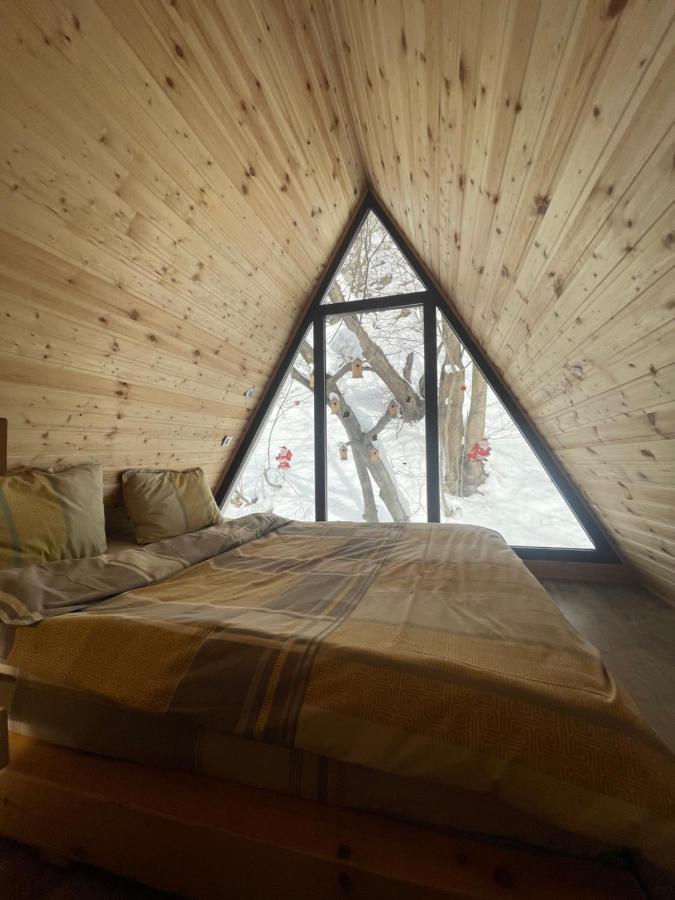 Aroa Mountain 4 Villa Zărneşti Dış mekan fotoğraf