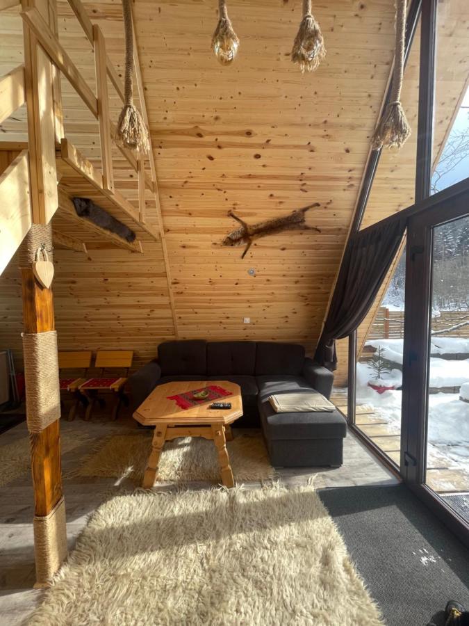 Aroa Mountain 4 Villa Zărneşti Dış mekan fotoğraf