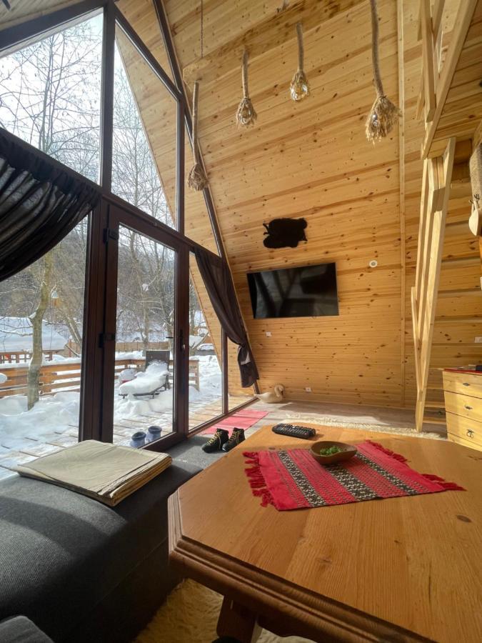 Aroa Mountain 4 Villa Zărneşti Dış mekan fotoğraf