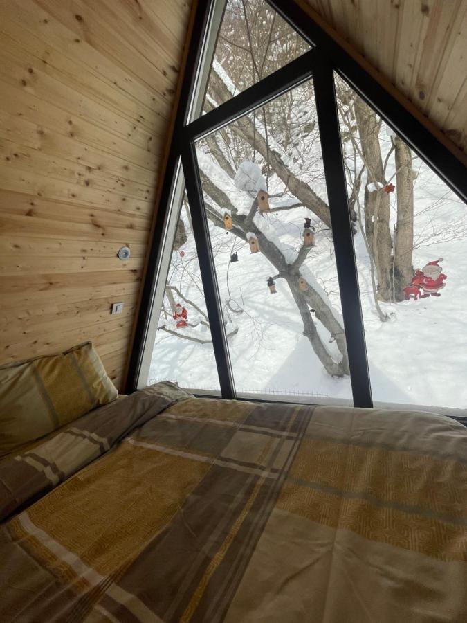 Aroa Mountain 4 Villa Zărneşti Dış mekan fotoğraf